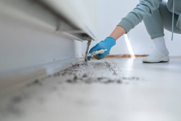Best Best Pest Control Companies  in Yorkville, NY